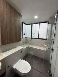 Terrene At Bukit Timah (D21), Condominium #595665421